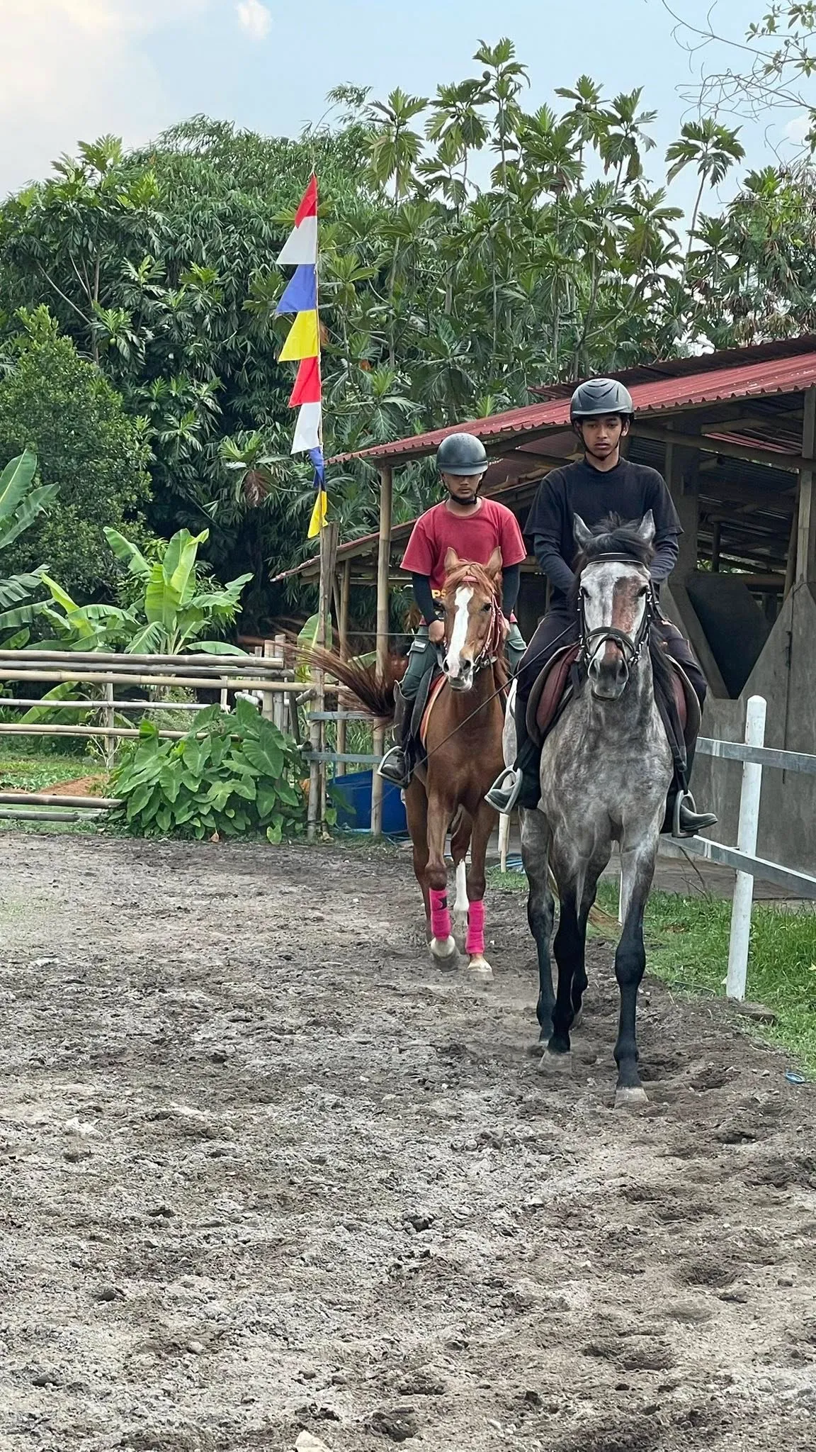 Berkah Stable Klaten